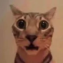 namten