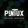 pintux98