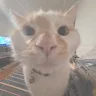 gooberthatone