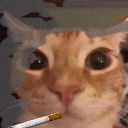 kittysmoker