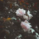 itsgood_