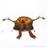 vnzelenskiy