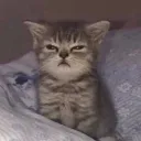 shivre_