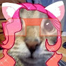 desertthekitty