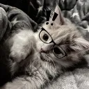 kiwgys