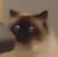 inputaname