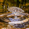 shootingnature89yotubechannel
