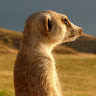 erdmaenchen