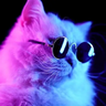 vopswtf