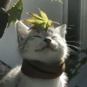fejivt