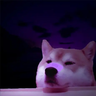MozillaFiredoge