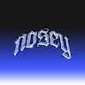 Modrinth profile picture for @nosey