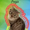 PogaPlays