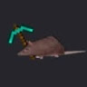 ingeniousrat_