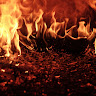 Fireislight145