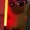 stachu136