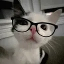 jordan_33322