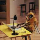 lolbeek
