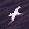 nexenhm172