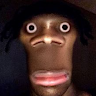 swavisup