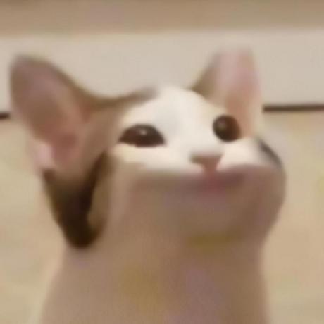 FluffyGingerboi1