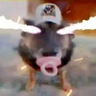 denerbone1