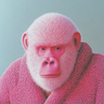 EthanCarollo