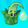 sun_Aloe