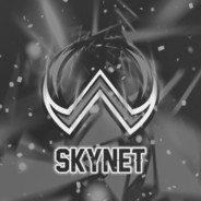Modrinth profile picture for @Skynet