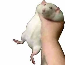 Homak