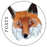 Modrinth profile picture for @Foxy