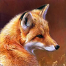 Fjox