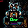 RoboDor
