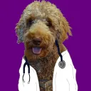 professorpupper243