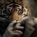 foshk