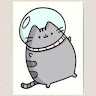 SuperiorTabby100
