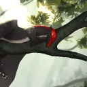 Orion_Dragon