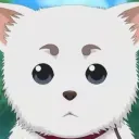 Modrinth profile picture for @win