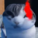 wawadust