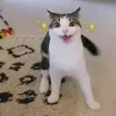 affirey
