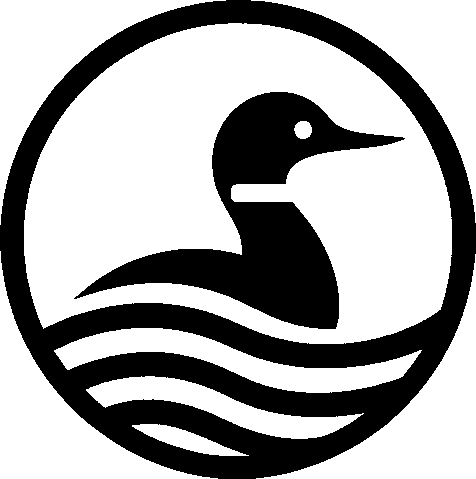 CaptainSwift11