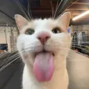lesiuuuu_