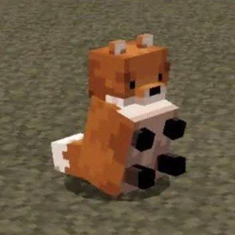 MrErenK