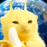Leo_Pepito