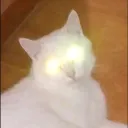 ilmarsxd1