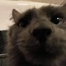 RadioTheCoyote