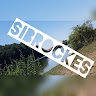 SiBrockes