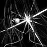 HiddenMoonDev