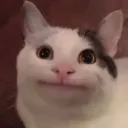 hehekan1e