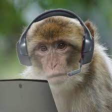 CoolerSmortmonke